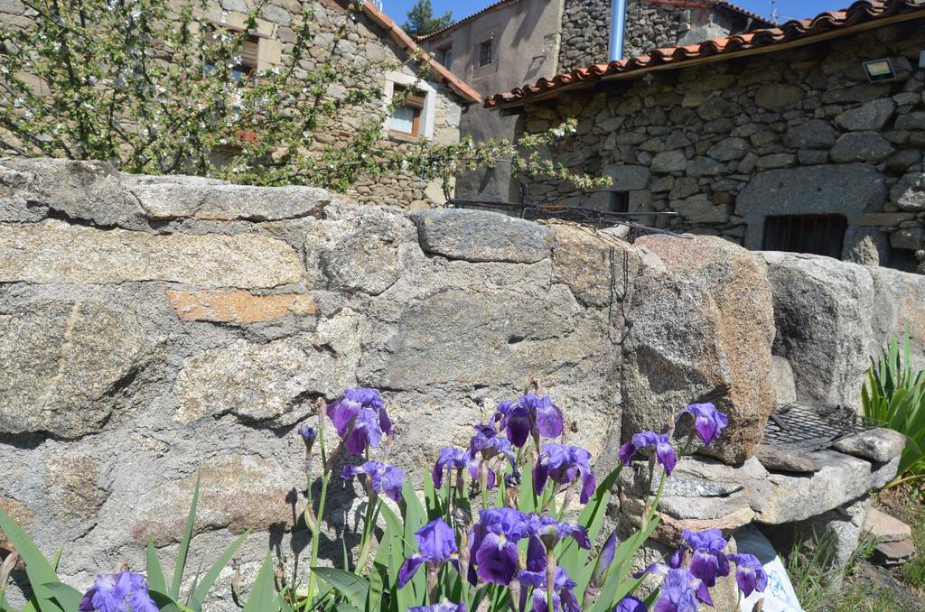 Casa Rural Almanzor Navarredonda de Gredos Εξωτερικό φωτογραφία